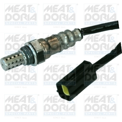 Oxygen Sensor